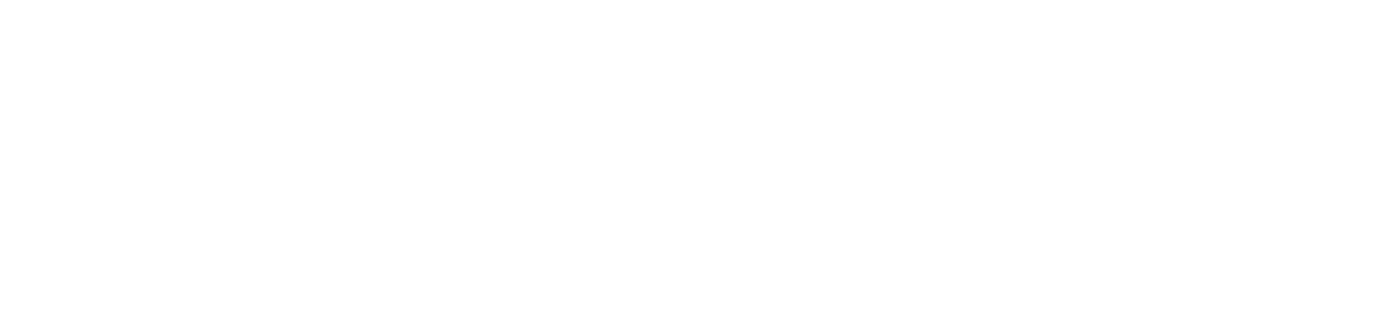 Visionary Growth Fund